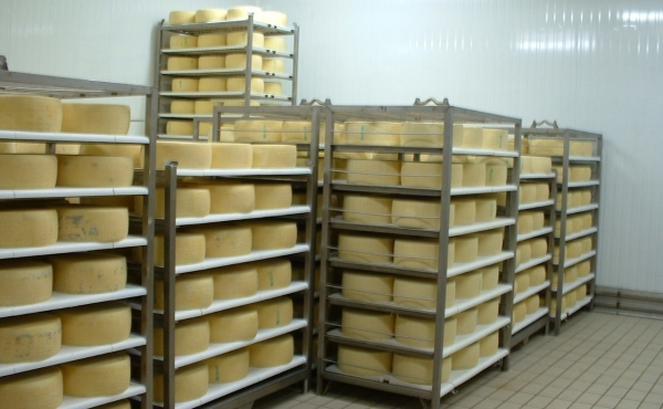 Choose our perforated boards for maturing cheese in secure way