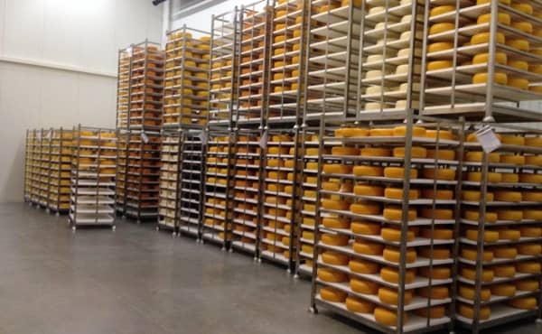 Choose our perforated boards for maturing cheese in secure way