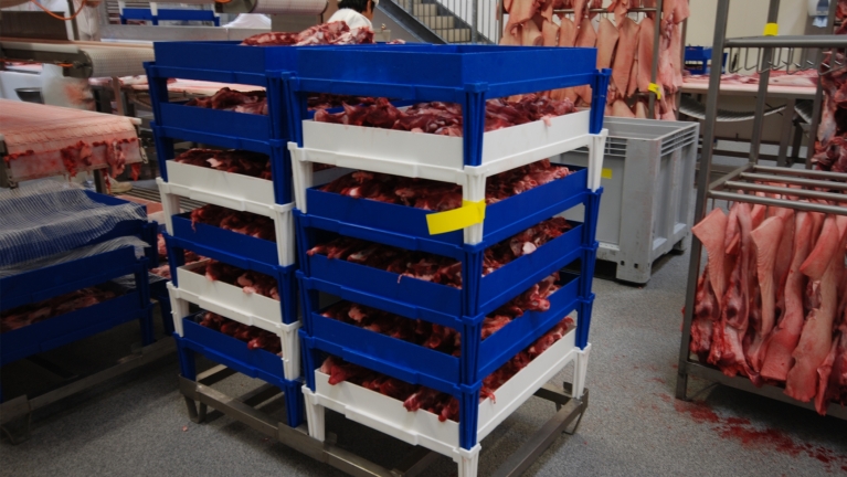 Excellence for the meat sector: grids with boards