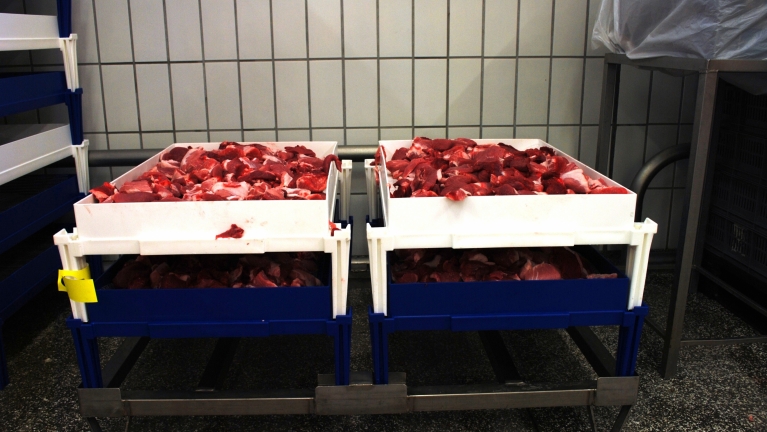 Do you have a slaughterhouse or a sausage factory? Discover the advantages of Baltresca