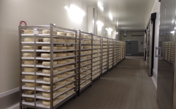 Cheese and cured meat trolleys: all the advantages for the food industry