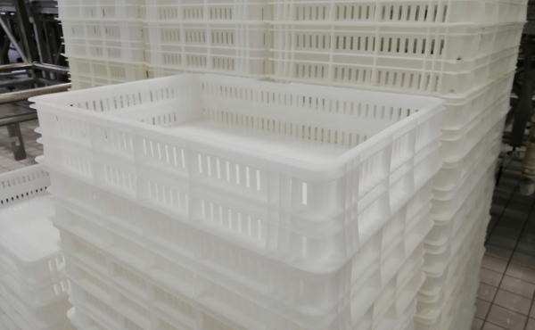 Cassetta in plastica per la lavorazione dello stracchino