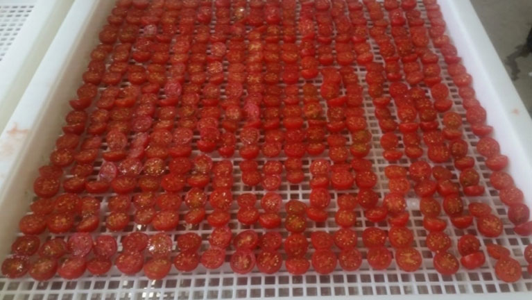 Vassoio in plastica per essiccazione e disidratazione dei pomodori