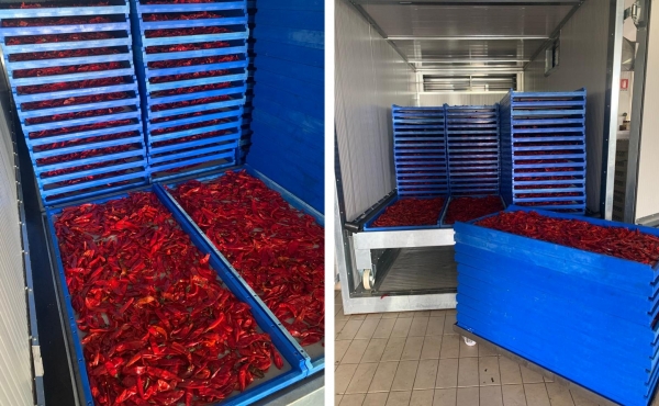 How to dry spices: the solutions proposed by IFT