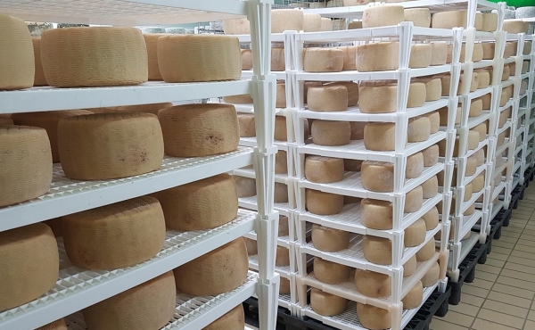 Griglie per stagionatura formaggi: tutti i vantaggi per il settore caseario
