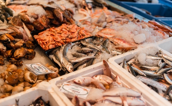 Attrezzature per pescheria: quali soluzioni scegliere?