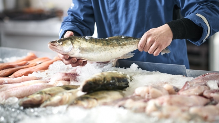 Attrezzature per pescheria: quali soluzioni scegliere?
