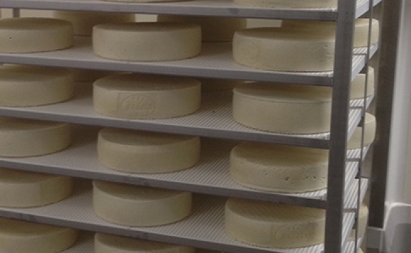 Shelves, racks and trolleys: the right solution for every dairies