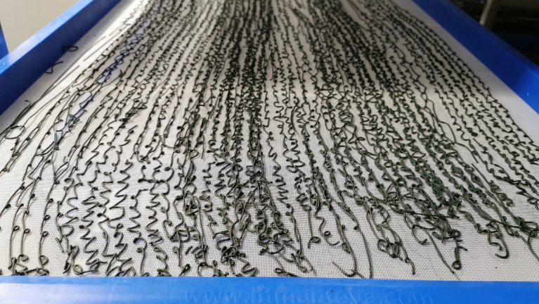 Telaio in plastica per essiccazione dell'alga spirulina
