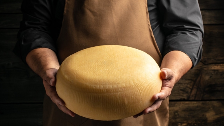Equipment for cheese ripening: which to choose?
