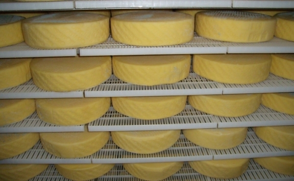Maturing and storage of cheeses: how to make them better