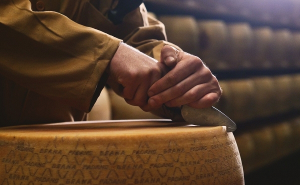 Maturing and storage of cheeses: how to make them better