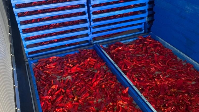 Telaio in plastica per essiccazione dei pomodori