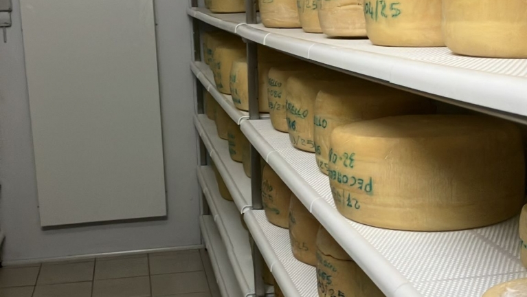 Table perfor&eacute;e mod.TFSE